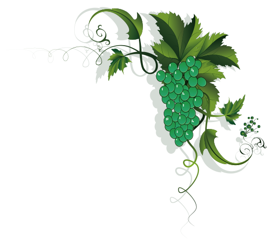 マスカットイラスト