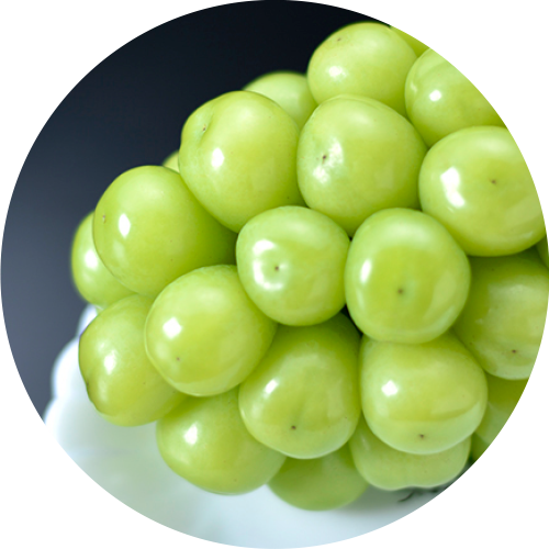 シャインマスカット