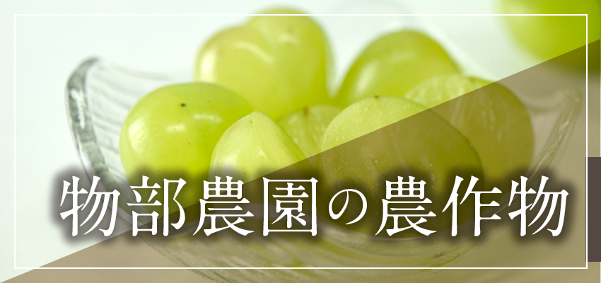 物部農園の農作物